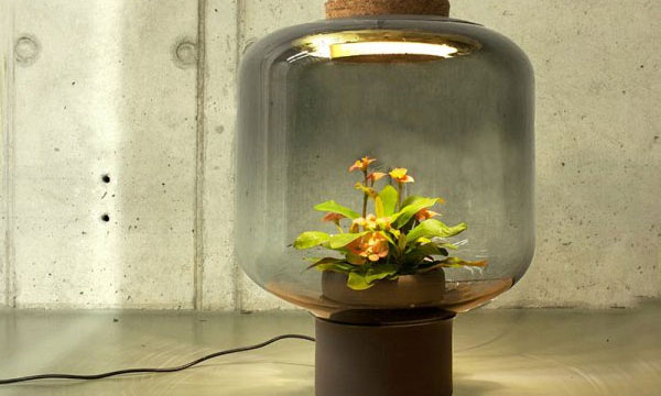 德设计师采用LED防水电源发明无需打理的 “​植物灯“