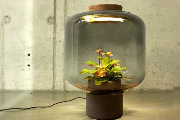German designers use LED waterproof power supply to create a plant light that requires no maintenance
